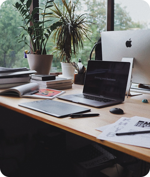 Arbeitsplatz mit Computer und Pflanze